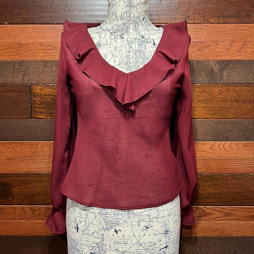 Xhilaration V Neck Long Ruffled Sleeve Sheer Coppery Red Blouse